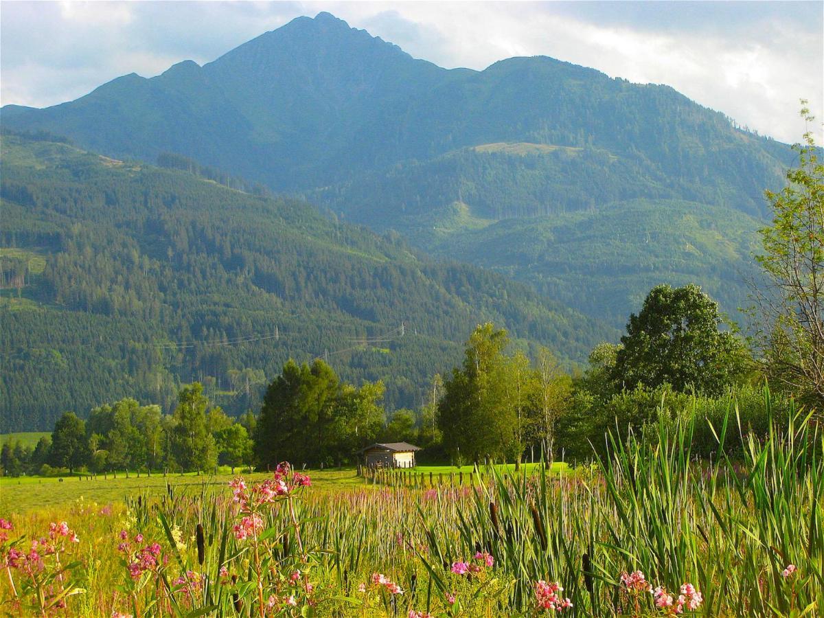 Sonnenhaus A - By Alpen Apartments Zell am See Ngoại thất bức ảnh